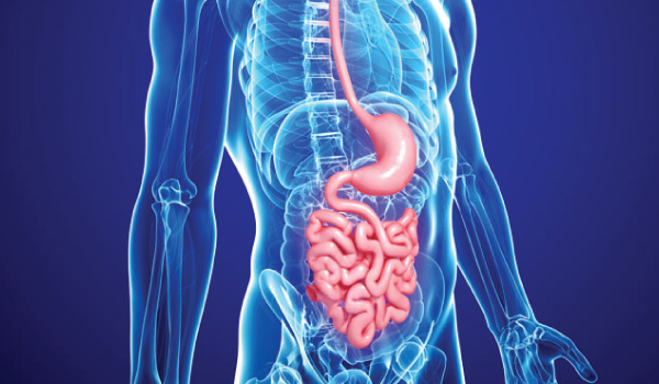 Gastroenterology Welcome Image